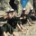 Copilăria in braţele terorismului: La 5 ani sunt învăţaţi sa ucidă. Copii supuşi la antrenamente extrem de dure într-o tabără teroristă din Pakistan. VIDEO